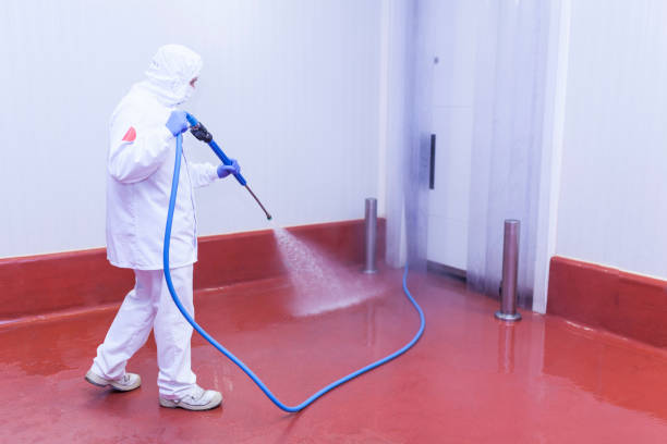 Best Graffiti Removal  in Primera, TX