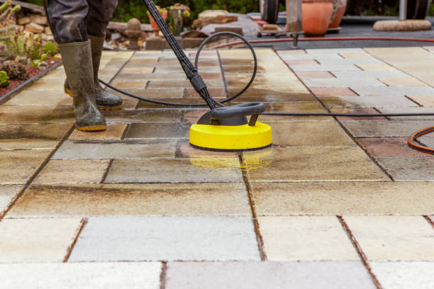 Best Animal Enclosure Cleaning  in Primera, TX