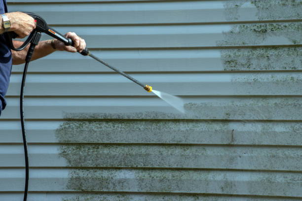 Best Sign and Awning Cleaning  in Primera, TX