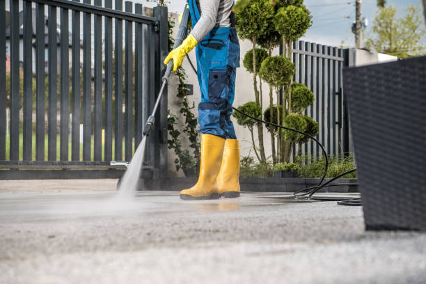 Best House Exterior Washing  in Primera, TX