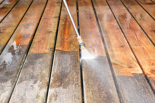 Best Fence Cleaning  in Primera, TX