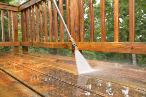 Best Dumpster Area Cleaning  in Primera, TX